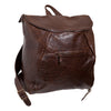 Stroud-Backpack - American Bison: Alternate View #1